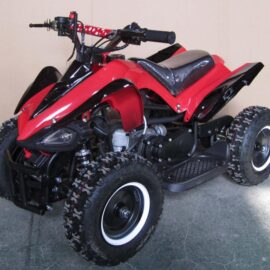 ATVs (All-Terrain Vehicles)