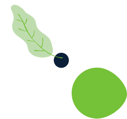 about-1-leaf.png